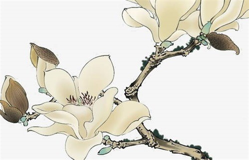 2024年农历八月廿六是不是动土吉日 动土修造吉利吗 2024年农历八月廿六是不是动土吉日 动土修造吉利吗