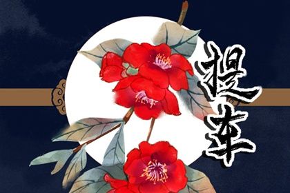 2024年农历八月二十提车日子如何 今日提车买车好吗 2024年农历八月二十提车日子如何 今日提车买车好吗