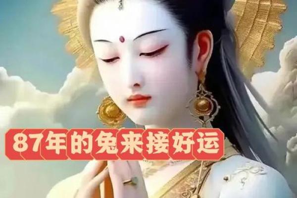 属兔人2024年结婚吉日 属兔2023年可以结婚吗 属兔人2024年结婚吉日 属兔2023年可以结婚吗