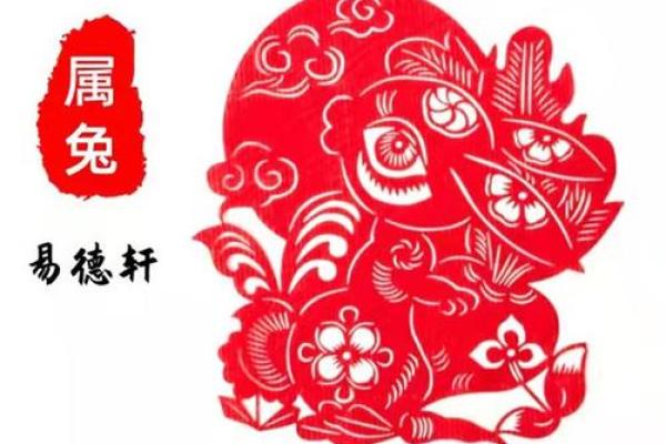 属兔人2024年结婚吉日 属兔2023年可以结婚吗 属兔人2024年结婚吉日 属兔2023年可以结婚吗