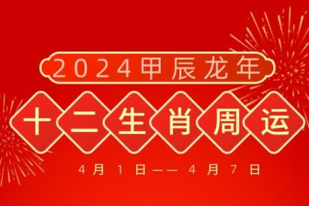虎龙25年结婚吉日 龙虎能做夫妻吗