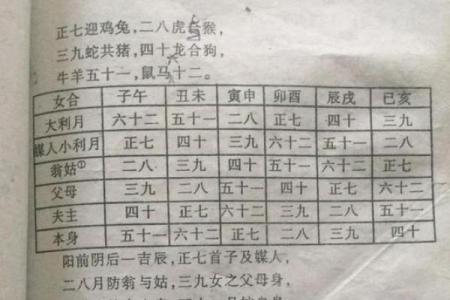 男女属兔2025年结婚吉日 属兔2025结婚大利月
