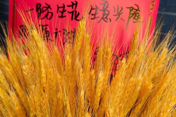 6月饭店开业吉日 什么日子开业最好吉利 6月饭店开业吉日 什么日子开业最好吉利