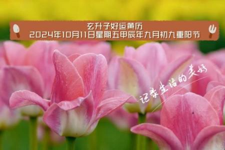 农历九月结婚黄道吉日 2024农历九月黄道吉日